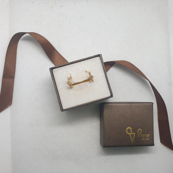 brincos em ouro de 19.2 k 3